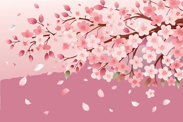 Fototapeta premium Delicate pink cherry blossoms cascade down from branches against a soft pink backdrop