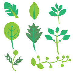 A set of nine leaf shapes