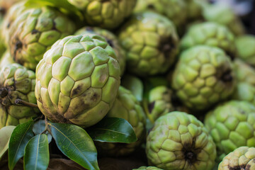 Obraz premium Pile of light green sugar apples with leaves, suitable for food and fruit related designs, healthy eating concepts, and agricultural themes.