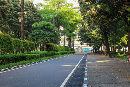 A straight running/walking track in an urban park surrounded by rows of trimmed hedges and shady trees, creating a cool and tranquil atmosphere.