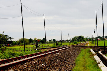 Rural Railway Track Through Green Farmland with Cyclist in Countryside