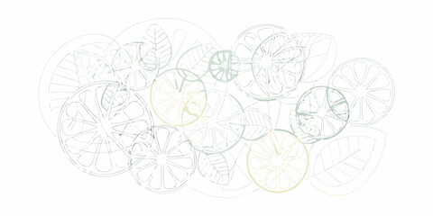 A delicate arrangement of citrus fruit slices in a pastel line art style