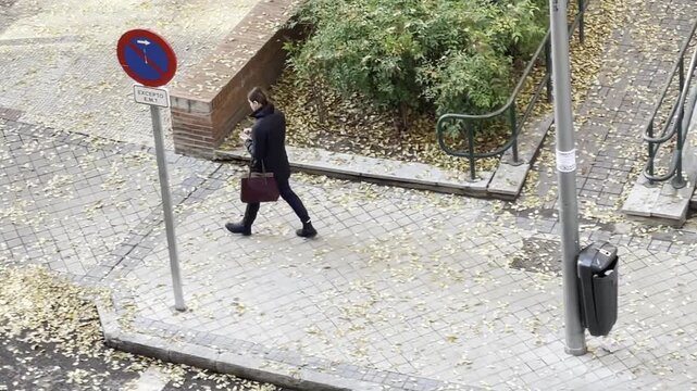 Mujer con m&oacute;vil y bolso caminando por la calle