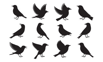 silhouette set flying and standing birds vector icon
