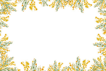 ミモザのフレーム