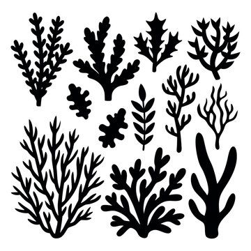 Collection of diverse black silhouettes of various seaweed and coral shapes on a white background