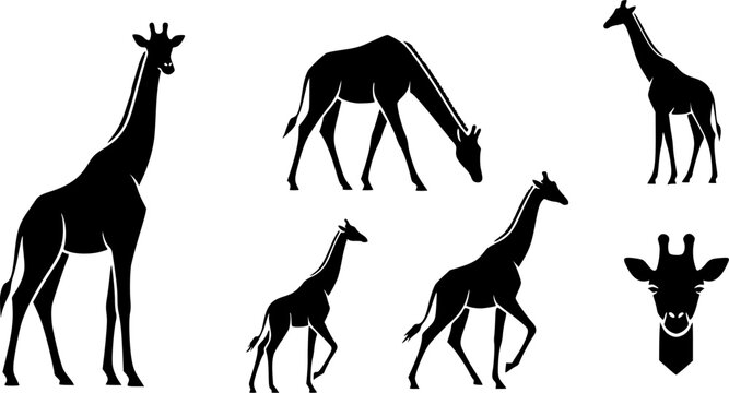 Giraffe silhouette, Giraffe, Giraffe silhouettes, Giraffe vector illustration, Giraffe clipart set