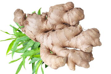 Ginger and leaf isolated on a  transparent Background