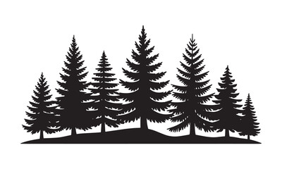 Silhouettes of evergreen trees in a forest setting