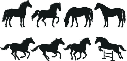 Horse silhouette illustration set with standing, running, grazing and jumping poses in black style for equestrian and animal design projects