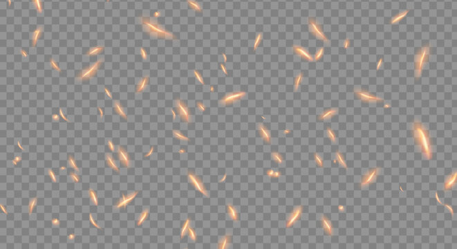 fire dust particles over transparent background overlay, Flying Fire Particles transparent background