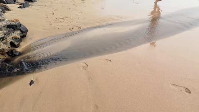 Disturbing environmental footage showing untreated sewage water flowing across a sandy beach, forming a dark stream that drains directly into the ocean. Tourists are seen walking through the polluted 