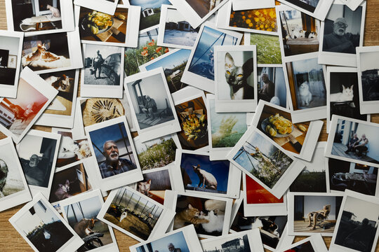 Collection of polaroid snapshots showing various moments captured in daily life across different locations and activities
