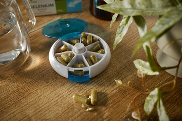 Daily vitamin organizer with capsules and plant in a home setting