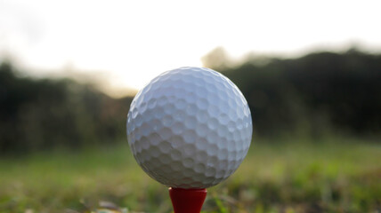 Close-Up of Golf Ball on Tee in Natural Outdoor Setting at Sunrise