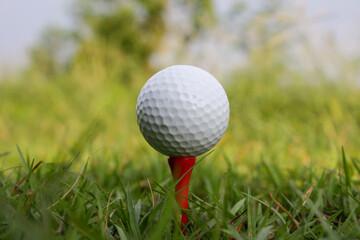 Close-up of Golf Ball on Tee in Lush Green Grass at Sunny Day