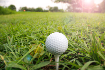 Golf Ball on Tee in Lush Green Grass Under Soft Sunrise Light