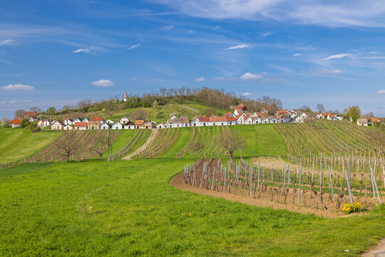 Traditional wine cellars lining Galgenberg in Wildendurnbach