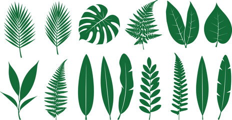 Collection of green leaf silhouettes featuring various botanical shapes, tropical foliage, ferns, and plant elements for nature-themed designs. © MdMojnu