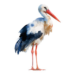 Fototapeta premium A watercolor painting of Stork, vector illustration on white background.