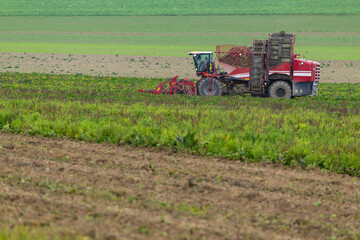 Red sugar beet harvester working in Vert Toulon field