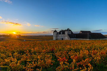 Chateau du Clos de Vougeot, Bourgogne wine region at sunset