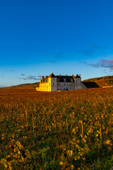 Chateau du Clos de Vougeot standing among autumn vineyards