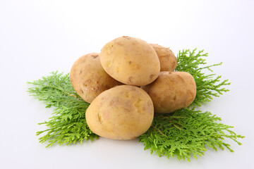 ５個の新じゃがいも　白バック