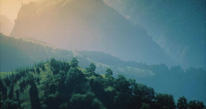 Serene mountain landscape features lush greenery and mist rising at dawn. Soft sunlight filters through trees, creating a peaceful atmosphere in the early morning.