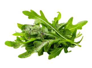 Fresh green arugula leaves piled together, tiny dark spots on surface