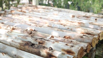 Wooden shelves for plants stand.