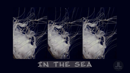 Just Line Them All Up Again Overlay