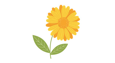 Obraz premium Simple and cheerful illustration of a single yellow calendula or sunflower with a green stem and leaves on a white background.