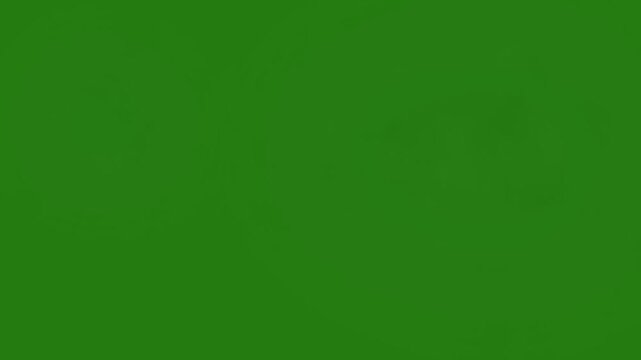 High-quality muzzle flash animation on green screen designed for weapon fire visual effects. Ideal for film, action scenes, games, trailers, and military or tactical video projects. Easily composited 