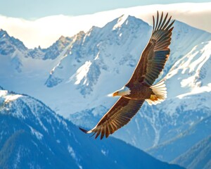 Fototapeta premium Bald Eagle Soaring Over Snowy Mountains