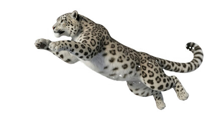 Fototapeta premium Leopard Running Fast,Leopard sprinting in motion, wildlife predator isolated on white. 