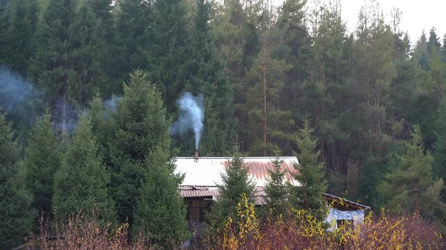 Small cabin with smoke coming from chimney in a dense green mountain forest