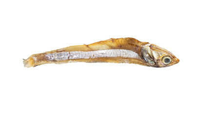Selective focused on small sun dried fishes Tiny Fish as food.