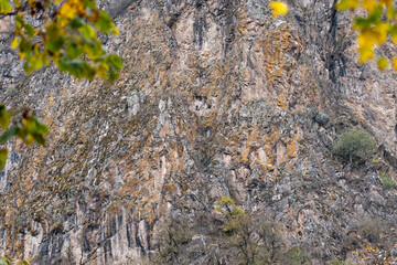 Natural Rock Cliff Texture with Lichen and Moss in Autumn Forest Environment.