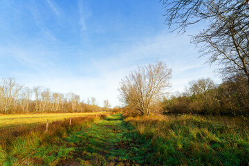 Obraz premium Loing river in the plain of Sorques. French Gatinais Regional Nature Park