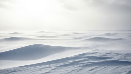 Snowy landscape with blowing snow and diffused light