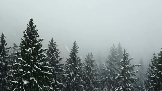 Majestic evergreen pine trees stand tall in a serene forest covered with a fresh blanket of snow. the misty winter atmosphere adds a calming and peaceful ambiance, perfect for conveying themes of tran