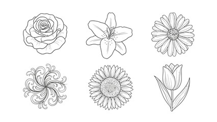 Collection of six distinct black and white floral line art drawings perfect for coloring books and elegant design projects