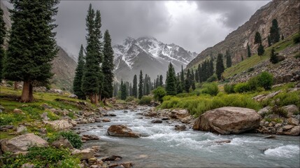 Rushing mountain stream flows through a valley flanked by tall evergreen trees and rocky slopes beneath a cloudy sky