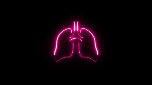 Glowing Neon human kidneys icon. Anatomical Illustration health illustration icon vector body.