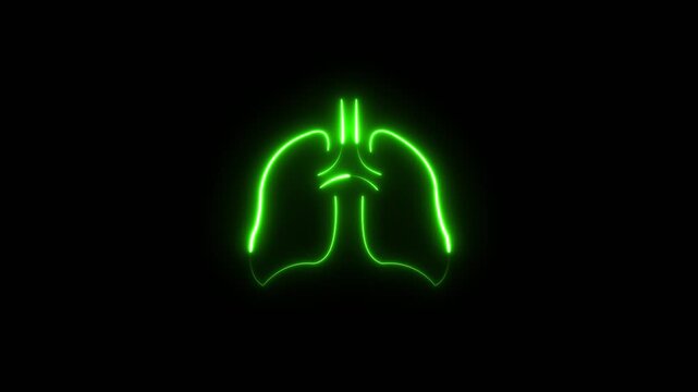 Glowing Neon human kidneys icon. Anatomical Illustration health illustration icon vector body.