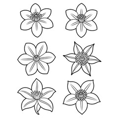A line art flower clematis set illustration vector style coloring book 
