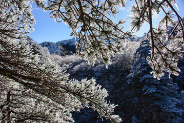 Winter wonderland, scenery in Huangshan National Park, Anhui, China