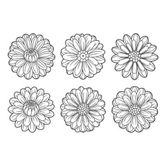 A line art flower dahlia set illustration vector style coloring book