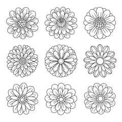 A line art flower dahlia set illustration vector style coloring book